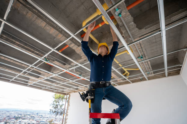 Best Same-Day Plumbing Service  in Dallas Center, IA