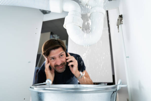 Best 24-Hour Plumber Near Me  in Dallas Center, IA