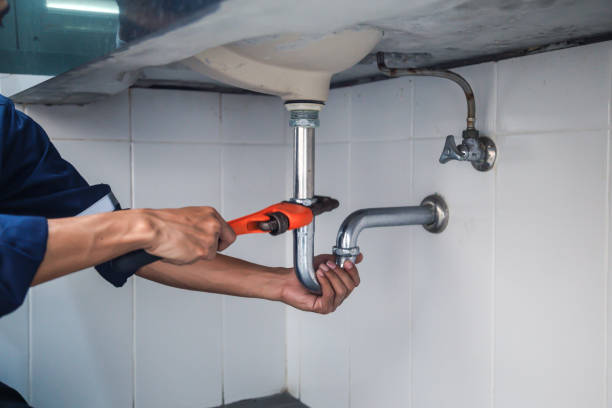 Best Clogged Drain Plumber  in Dallas Center, IA