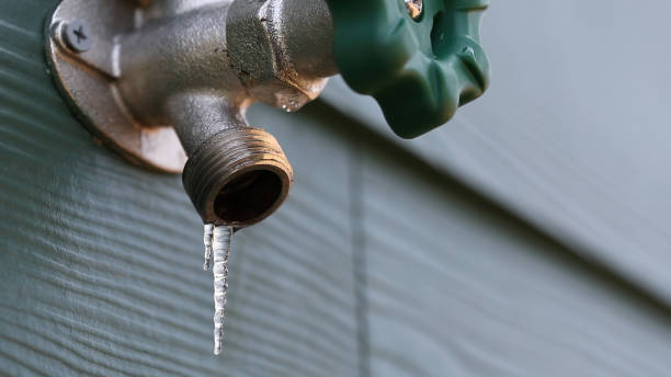 Best Shower Repair Services  in Dallas Center, IA